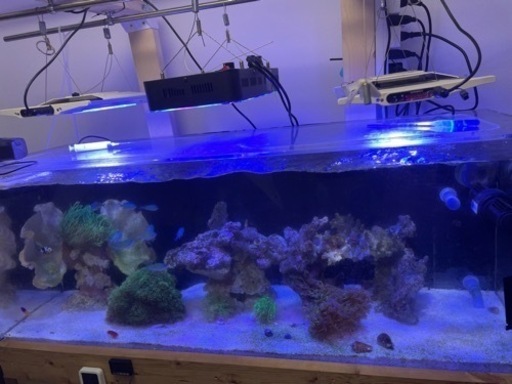 135cm オーバーフロー水槽 ＋ ろ過槽 ＋ ポンプ他一式