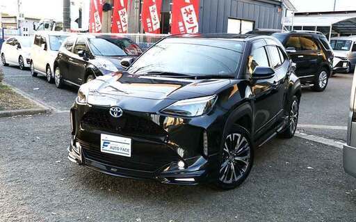 トヨタ純正 ダブルツイーターシステムプラス ヤリス用 Hi-Res