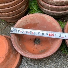 植木鉢　駄温鉢　浅　12cm 10個セット
