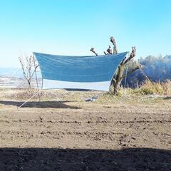 ★ヘキサタープ★SOUTH FIELD★の画像