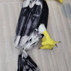 鳥のぬいぐるみ　差し上げます