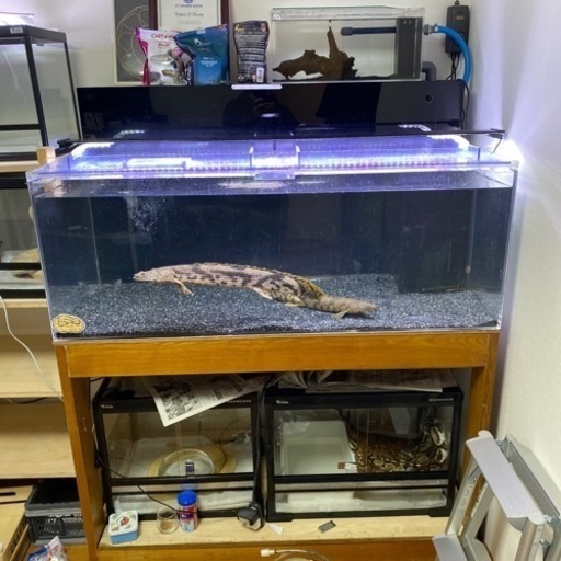 1200水槽セット