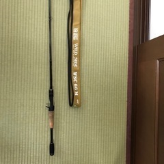 バスロッド　レジットデザイン　ワイルドサイド　WSC66M ベイ...