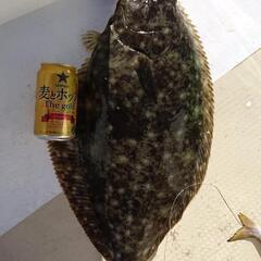 仕立船仲間募集‼