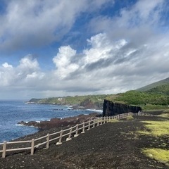 ワーキングホリデーについて