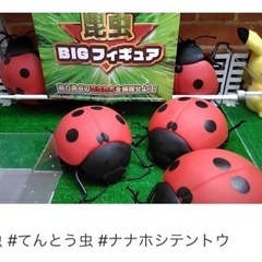 昆虫BIGフィギュア テントウムシの画像