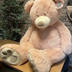 引取り限定 特大 テディベア 約135cm ぬいぐるみ　コストコ