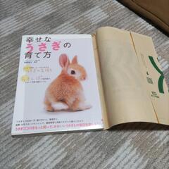 幸せなうさぎの育て方