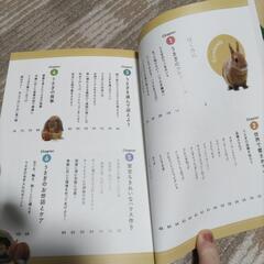 幸せなうさぎの育て方の画像