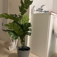 人工観葉植物