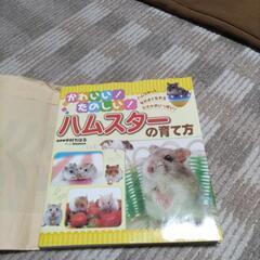 かわいい！たのしい!ハムスターの育て方