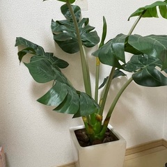 室内用大型観葉植物　フェイク　
