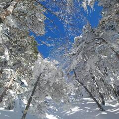 雪山登山❄一緒にしてくれる方募集！