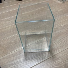 アクアリウム　水槽　ネオグラスエア　DOOA 2