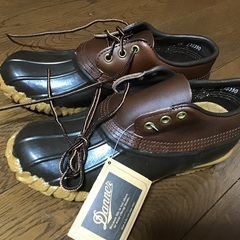 Danner 防水シューズ① 7インチ(US7D)