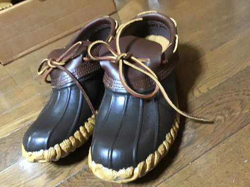 Danner 防水シューズ② 7インチ (US7D)