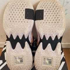 NIKE WHY NOT ZERO.2の画像