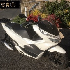 HONDA PCX 125  2019年 125cc ホンダ 【...