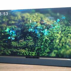 Panasonic パナソニック 2019 55V型 4K有機E...