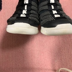 ナイキノービス17cmの画像