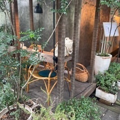 河原町付近でカフェ巡りできる友だち募集☕️ - 京都市