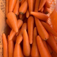 農家直送!!人参1本30円!!じゃがいも150円!!さつまいも3...