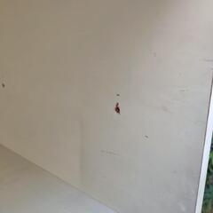 大型カラーボックスの画像