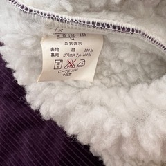 紫厚着ベストの画像