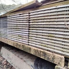 種苗トレイの画像