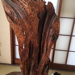 ハゼの木の置き物の画像