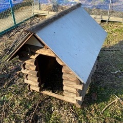 犬小屋
