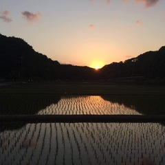 寺家の里山。ギャラリースペースで ゆるっと朝のヨーガの画像