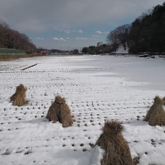 寺家の里山。ギャラリースペースで ゆるっと朝のヨーガの画像