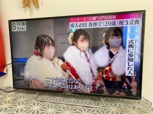 SONY BRAVIA 40インチ　2016年
