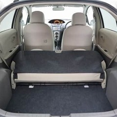 今年も【オトロン】🚘をチェック😍😍😍　　トヨタ★ヴィッツ