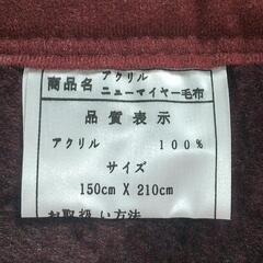 訳あり 新品 格安 アクリルニューマイヤー毛布  150㎝×210㎝　silvio valentino　ｼﾙﾋﾞｵﾊﾞﾚﾝﾁﾉ 　数枚ありの画像
