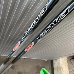 エラン　カービングスキーの画像