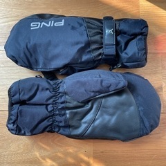 【受付終了】ゴルフバッグ、ボール、あったかい手袋の画像