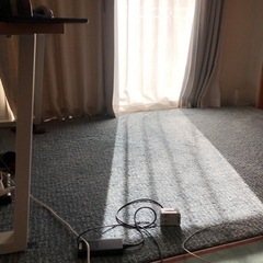 使用1年IKEAカーペット約235 x 170cm