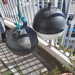 インテリアにいかがでしょうか