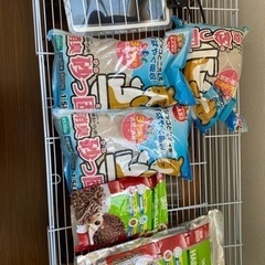 ハリネズミケージ　飼育セットの画像