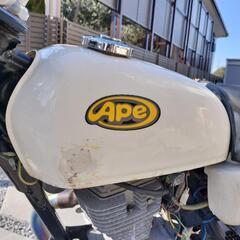 ape100の画像