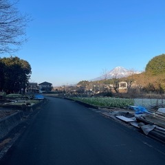 【立木譲ります】の画像