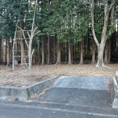 【立木譲ります】