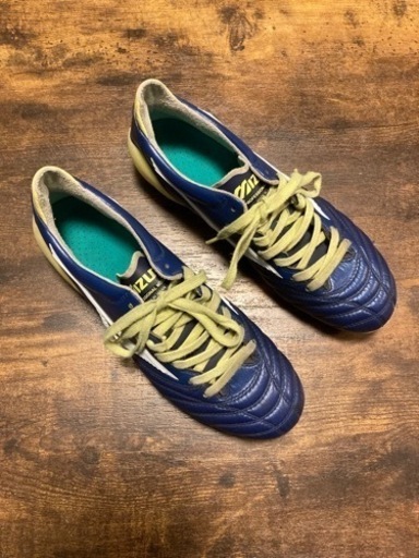 【限定色！】モレリアネオ2