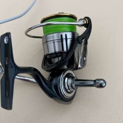 セルテート　リール