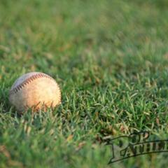 私達は大村ベアーズです⚾