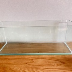 ガラス水槽