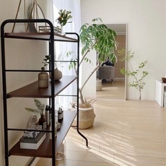 NOCEシェルフ/ウォールナット