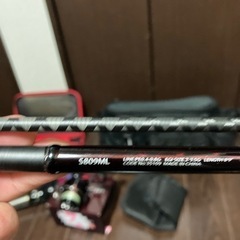 12セフィアエギングセットの画像